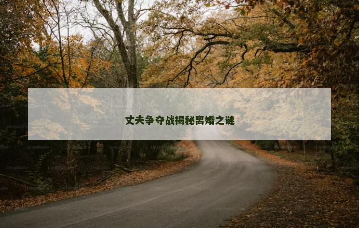 丈夫争夺战揭秘离婚之谜