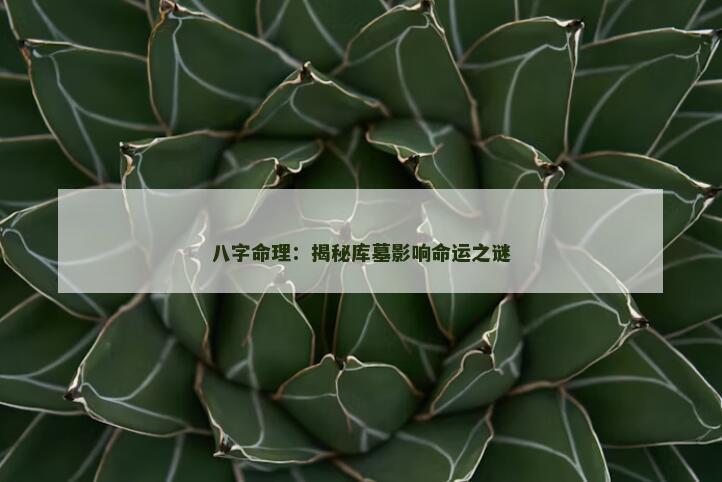 八字命理：揭秘库墓影响命运之谜