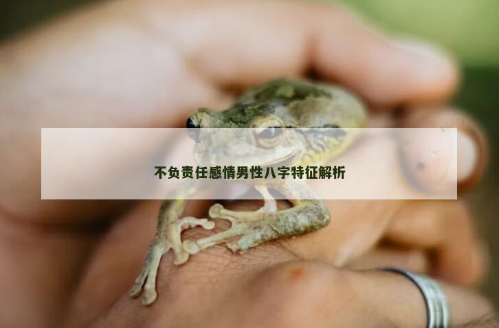 不负责任感情男性八字特征解析