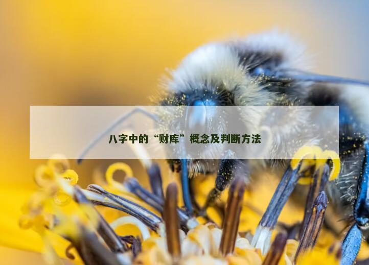 八字中的“财库”概念及判断方法 八字中的“财库”概念及判断方法