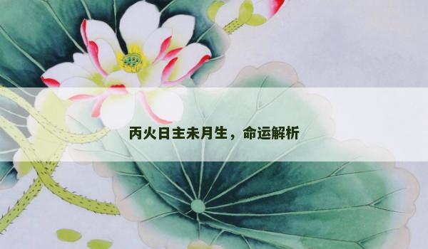 丙火日主未月生，命运解析
