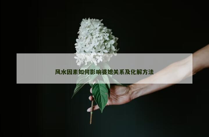风水因素如何影响婆媳关系及化解方法