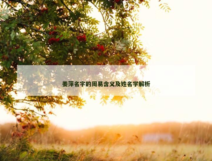 姜萍名字的周易含义及姓名学解析
