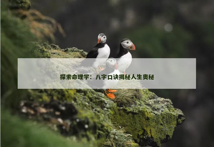 探索命理学：八字口诀揭秘人生奥秘
