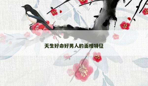 天生好命好男人的面相特征 天生好命好男人的面相特征
