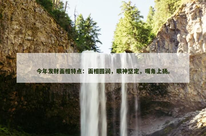 今年发财面相特点:面相圆润,眼神坚定,嘴角上扬。 今年发财面相特点:面相圆润,眼神坚定,嘴角上扬。