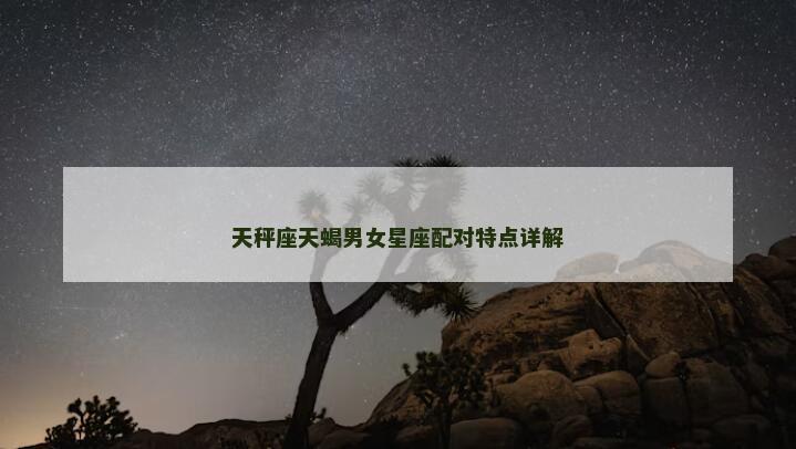 天秤座天蝎男女星座配对特点详解