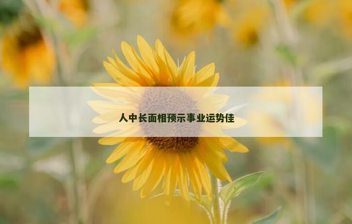 人中长面相预示事业运势佳 人中长面相预示事业运势佳