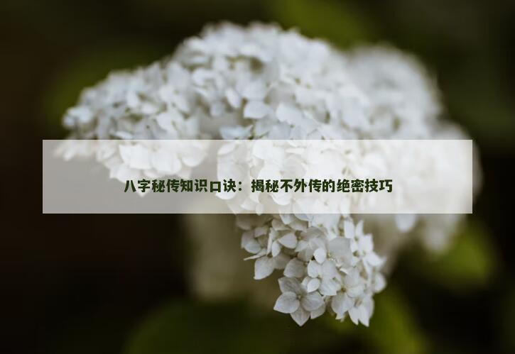 八字秘传知识口诀:揭秘不外传的绝密技巧 八字秘传知识口诀:揭秘不外传的绝密技巧