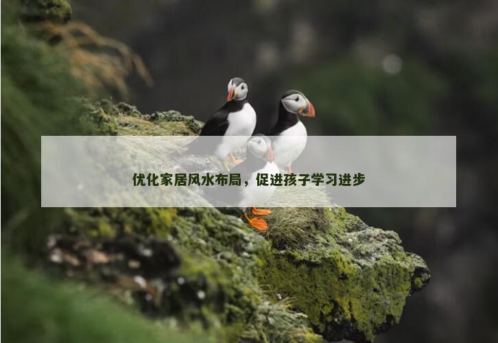优化家居风水布局，促进孩子学习进步