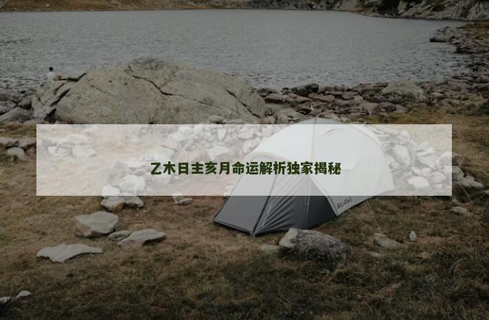 乙木日主亥月命运解析独家揭秘 乙木日主亥月命运解析独家揭秘