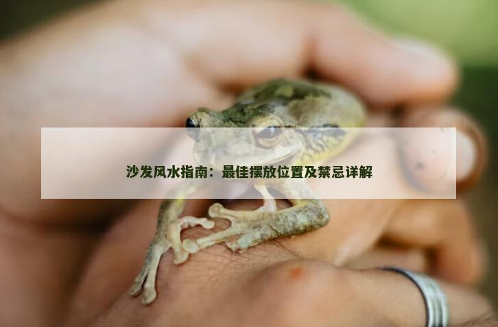 沙发风水指南：最佳摆放位置及禁忌详解