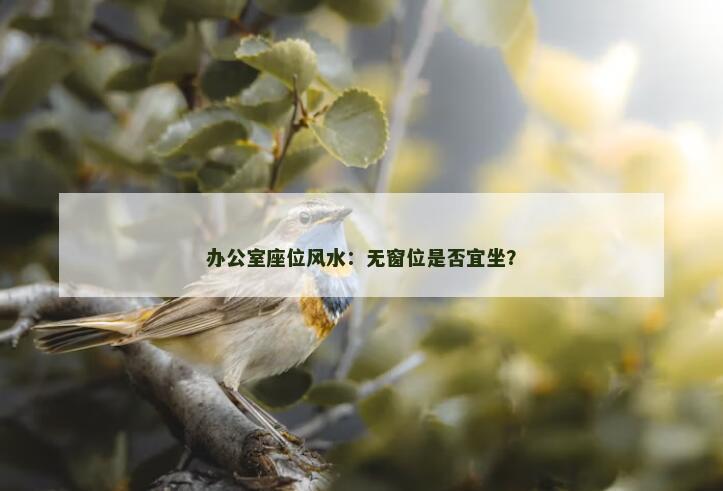 办公室座位风水：无窗位是否宜坐？