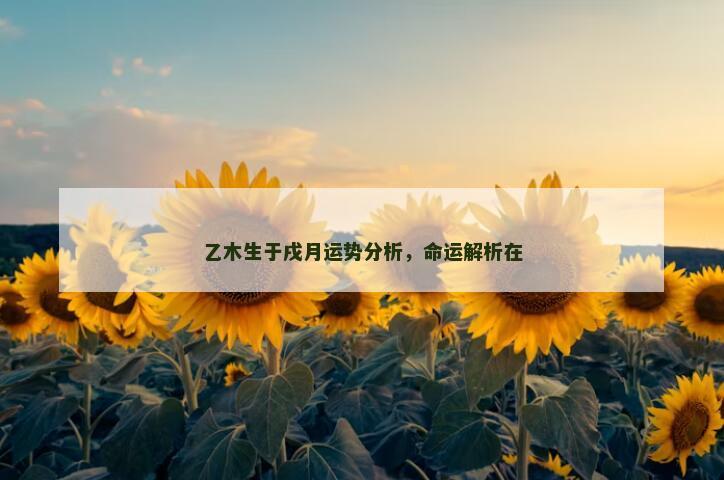 乙木生于戌月运势分析,命运解析在 乙木生于戌月运势分析,命运解析在