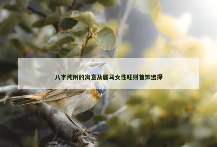 八字纯阴的寓意及属马女性旺财首饰选择 八字纯阴的寓意及属马女性旺财首饰选择