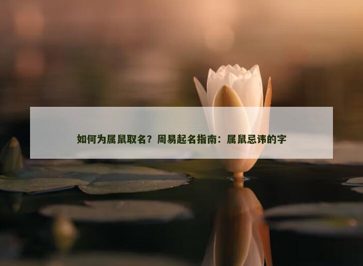 如何为属鼠取名？周易起名指南：属鼠忌讳的字