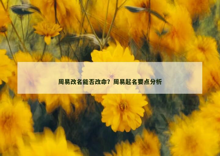 周易改名能否改命？周易起名要点分析