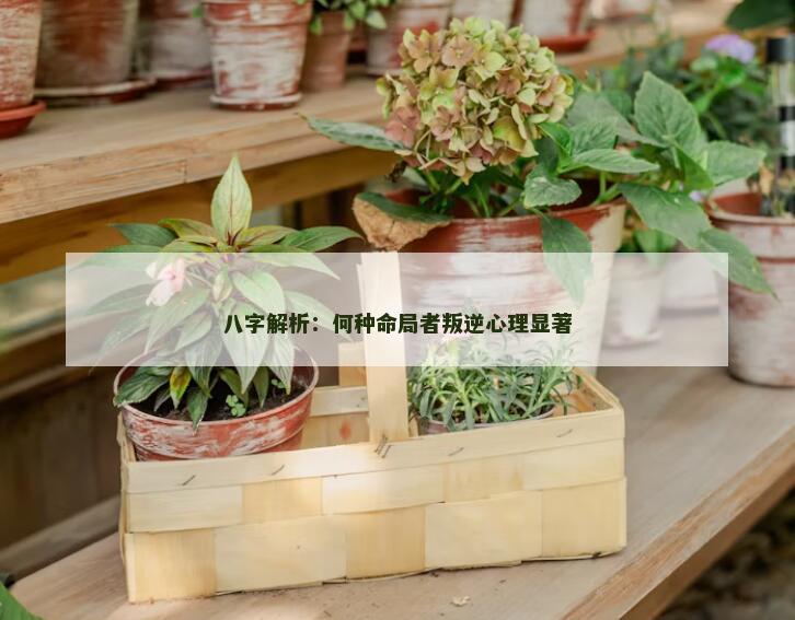 八字解析:何种命局者叛逆心理显著 八字解析:何种命局者叛逆心理显著
