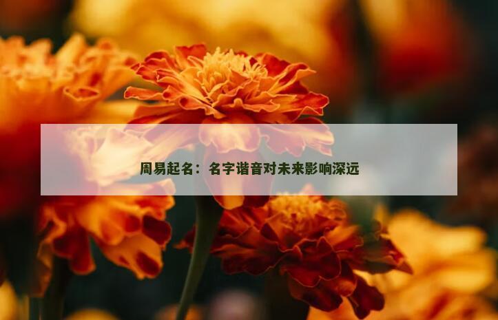 周易起名：名字谐音对未来影响深远