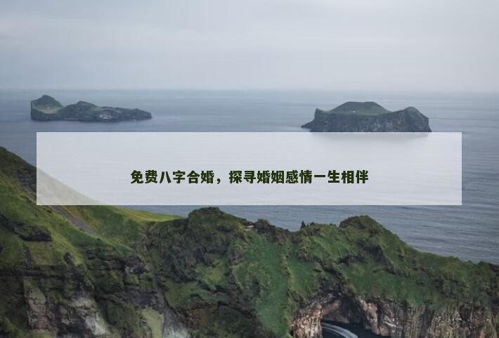 免费八字合婚，探寻婚姻感情一生相伴