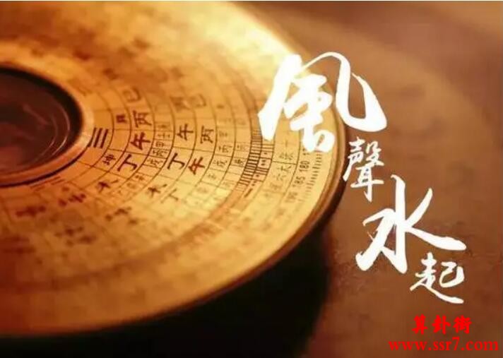 客厅摆放什么植物旺财
